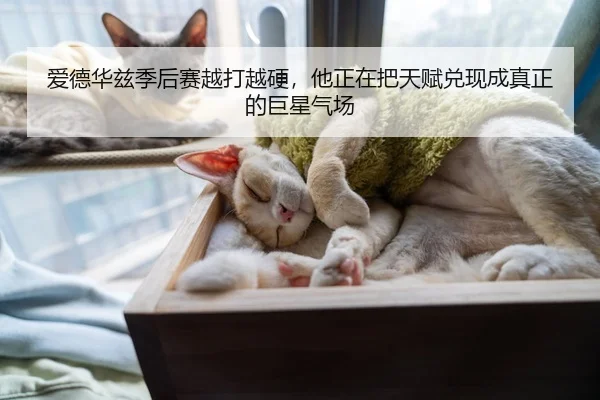 爱德华兹季后赛越打越硬，他正在把天赋兑现成真正的巨星气场